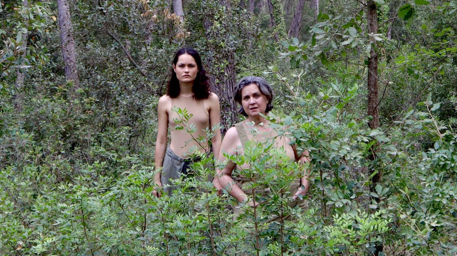 Fotocartellchipko Jpg 1499x847