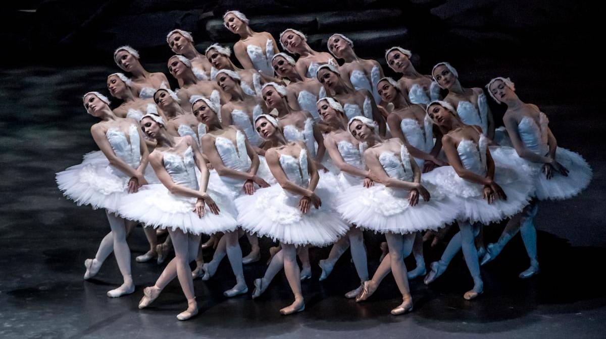 Balletcignes Praga Liceu 02